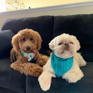 Meet your Posher, Margie